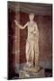 The Venus of Arles, Roman Copy of a Greek Original, C.30 Bc-14 Ad (Marble)-Praxiteles-Mounted Giclee Print