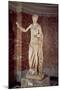 The Venus of Arles, Roman Copy of a Greek Original, C.30 Bc-14 Ad (Marble)-Praxiteles-Mounted Giclee Print