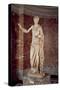 The Venus of Arles, Roman Copy of a Greek Original, C.30 Bc-14 Ad (Marble)-Praxiteles-Stretched Canvas