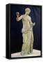The Venus of Arles-null-Framed Stretched Canvas