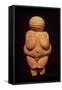 The Venus of Willendorf, Fertility Symbol, Pre-Historic Sculpture, 30000-25000 BC (Front View)-null-Framed Stretched Canvas
