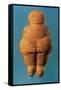 The Venus of Willendorf, Rear View of Female Figurine, Gravettian Culture Upper Palaeolithic Period-null-Framed Stretched Canvas