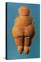 The Venus of Willendorf, Rear View of Female Figurine, Gravettian Culture Upper Palaeolithic Period-null-Stretched Canvas