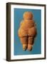 The Venus of Willendorf, Rear View of Female Figurine, Gravettian Culture Upper Palaeolithic Period-null-Framed Giclee Print