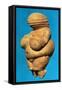 The Venus of Willendorf, Side View of Female Figurine, Gravettian Culture Upper Palaeolithic Period-null-Framed Stretched Canvas