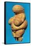 The Venus of Willendorf, Side View of Female Figurine, Gravettian Culture Upper Palaeolithic Period-null-Framed Stretched Canvas