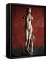 The Venus Tauride or Venus of Tauris, 2nd Century Ad-null-Framed Stretched Canvas