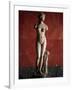 The Venus Tauride or Venus of Tauris, 2nd Century Ad-null-Framed Photographic Print