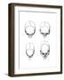 The Vertical Configuration of the Skull, 1848-null-Framed Giclee Print