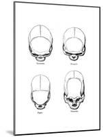 The Vertical Configuration of the Skull, 1848-null-Mounted Giclee Print