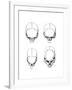 The Vertical Configuration of the Skull, 1848-null-Framed Giclee Print