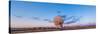 The Very Large Array Radio Telescope in New Mexico at Sunset-null-Stretched Canvas