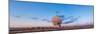 The Very Large Array Radio Telescope in New Mexico at Sunset-null-Mounted Photographic Print