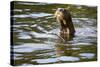 The Very Rare Giant Otter-Peter Groenendijk-Stretched Canvas