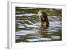 The Very Rare Giant Otter-Peter Groenendijk-Framed Photographic Print