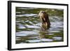 The Very Rare Giant Otter-Peter Groenendijk-Framed Photographic Print