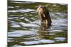 The Very Rare Giant Otter-Peter Groenendijk-Mounted Photographic Print