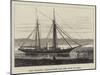 The Vesatri, Steam-Yacht for the King of Siam-null-Mounted Giclee Print