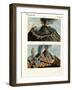 The Vesuvius-null-Framed Giclee Print