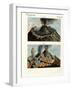 The Vesuvius-null-Framed Giclee Print