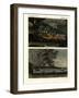 The Vesuvius-null-Framed Giclee Print