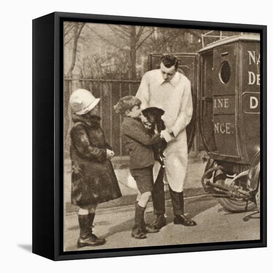 The Vet from the Fulham Branch of the People's Dispensary for Sick Animals-English Photographer-Framed Stretched Canvas