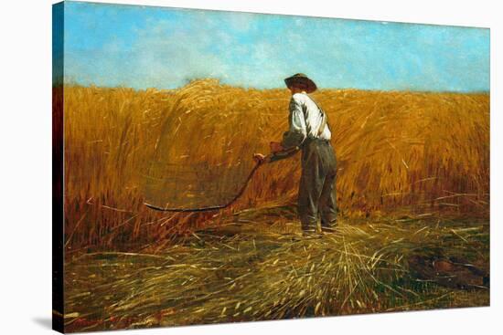 The Veteran in a New Field, 1865-Winslow Homer-Stretched Canvas