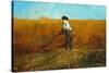 The Veteran in a New Field, 1865-Winslow Homer-Stretched Canvas