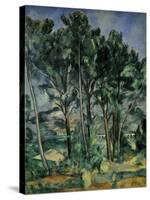 The Viaduct-Paul Cézanne-Stretched Canvas