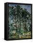 The Viaduct-Paul Cézanne-Framed Stretched Canvas