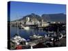 The Victoria and Alfred Waterfront, Cape Town, South Africa, Africa-Yadid Levy-Stretched Canvas