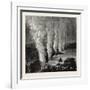 The Victoria Falls of the Zambesi. the Zambezi (Also Spelled Zambeze and Zambesi) Is the Fourth-Lon-null-Framed Giclee Print