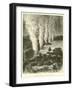 The Victoria Falls, Zambesi River-null-Framed Giclee Print
