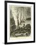 The Victoria Falls, Zambesi River-null-Framed Giclee Print