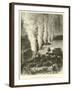 The Victoria Falls, Zambesi River-null-Framed Giclee Print