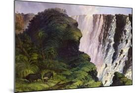 The Victoria Falls-Thomas Baines-Mounted Photographic Print