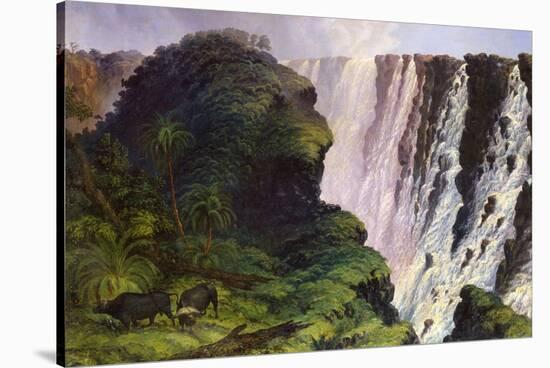 The Victoria Falls-Thomas Baines-Stretched Canvas