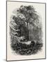 The Victoria Oak, Windsor Forest, the Forest Scenery Of19th Century-null-Mounted Giclee Print