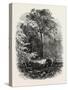 The Victoria Oak, Windsor Forest, the Forest Scenery Of19th Century-null-Stretched Canvas