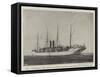 The Victoria, the Ship in Which Jameson Has Returned to England-null-Framed Stretched Canvas