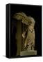 The Victory of Samothrace-null-Framed Stretched Canvas