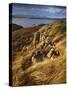 The View across Loch Bracadale and Towards Macleods Tables from Ardtreck Point, Isle of Skye, Inner-Jon Gibbs-Stretched Canvas