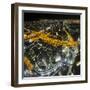 The View At Night From 'At The Top'-Nick Garbutt-Framed Photographic Print