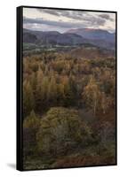 The view at twilight from Holme Fell, Lake District National Park, Cumbria, England, United Kingdom-Jon Gibbs-Framed Stretched Canvas