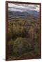 The view at twilight from Holme Fell, Lake District National Park, Cumbria, England, United Kingdom-Jon Gibbs-Framed Photographic Print