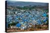 The View from Mehrangarh Fort of the Blue Rooftops in Jodhpur, the Blue City, Rajasthan-Laura Grier-Stretched Canvas