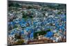 The View from Mehrangarh Fort of the Blue Rooftops in Jodhpur, the Blue City, Rajasthan-Laura Grier-Mounted Photographic Print