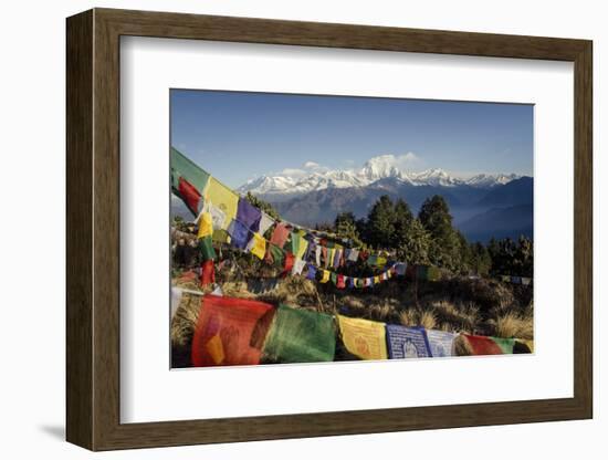 The View from Poon Hill, 3210M-Andrew Taylor-Framed Photographic Print