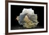 The View From Within-Valda Bailey-Framed Photographic Print