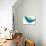 The View of Bird-eastnine-Art Print displayed on a wall